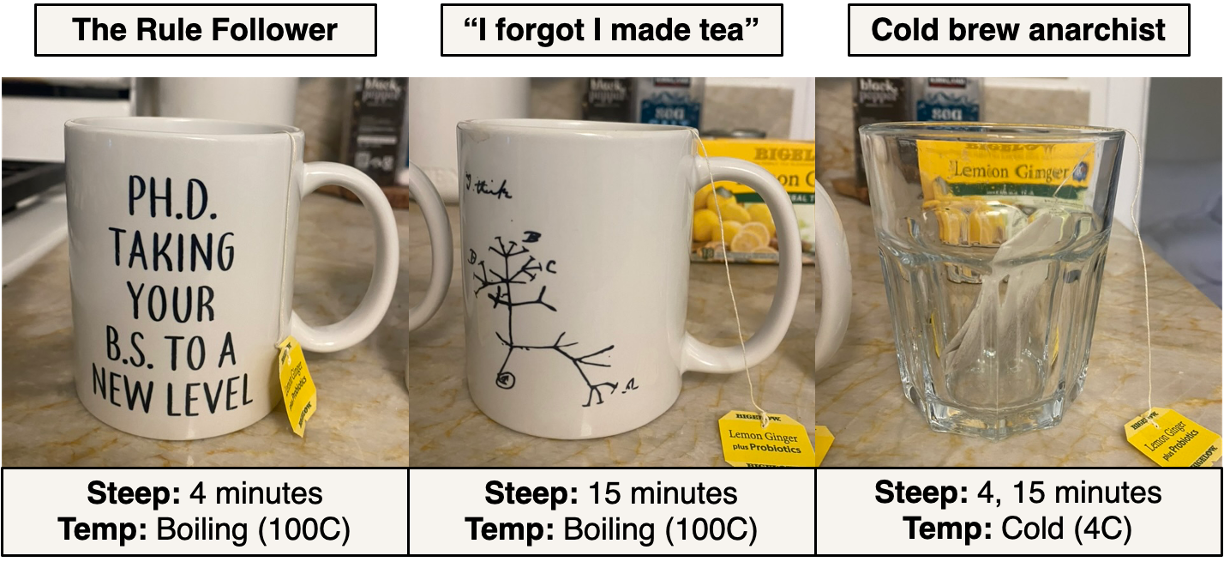Experimental design