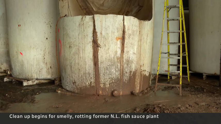 20-year-old fish sauce spews out of a rupture in a vat at an abandoned plant