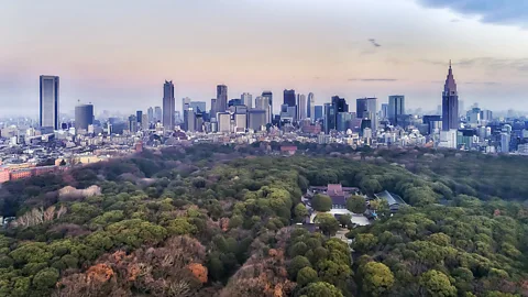 Getty Images Aerial view of central Tokyo at dusk with skyline rising behind a large park (Credit: Getty Images)