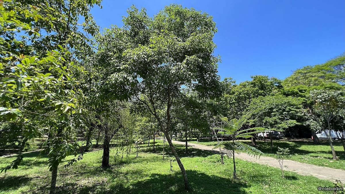 parque linear Tiquatira