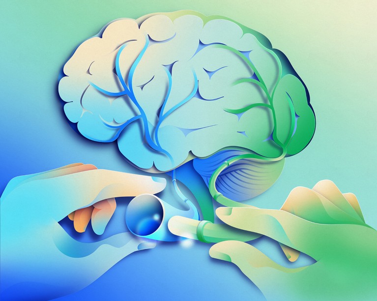 Stylised illustration of a human brain, with two hands holding pipe-like tubes connected to the brainstem, suggesting a plumbing system.