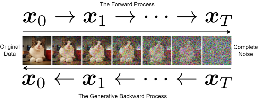 Forward and reverse diffusion