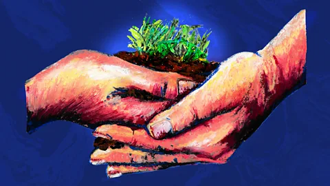BBC/ Serenity Strull An illustration shows two cupped hands holding a small patch of soil covered with grass, set against a blue backdrop (Credit: BBC/ Serenity Strull)