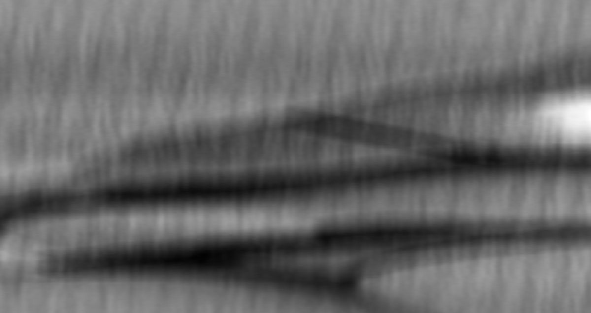 A crop after applying the sliding vertical average. The broad shapes belong to the photograph; the fine vertical bands are the defect.