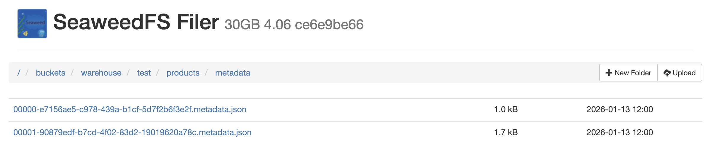 seaweedfs ui