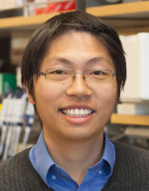 Kyle Loh